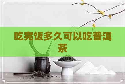 吃完饭多久可以吃普洱茶