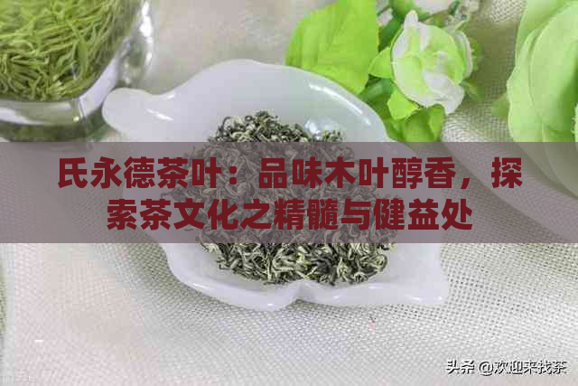 氏永德茶叶：品味木叶醇香，探索茶文化之精髓与健益处