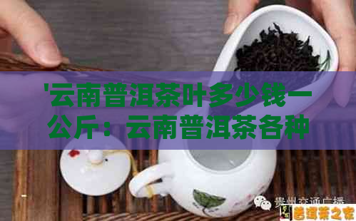 '云南普洱茶叶多少钱一公斤：云南普洱茶各种规格价格一览'