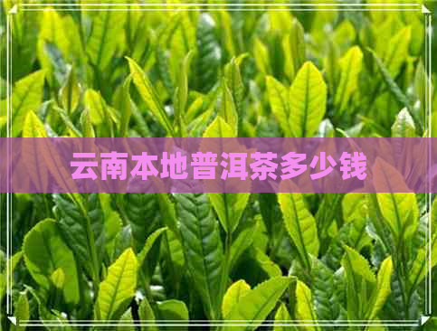 云南本地普洱茶多少钱