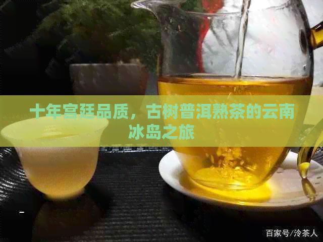 十年宫廷品质，古树普洱熟茶的云南冰岛之旅