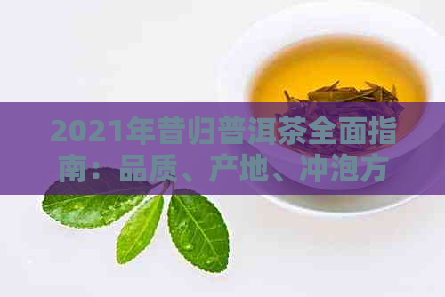 2021年昔归普洱茶全面指南：品质、产地、冲泡方法与品鉴技巧