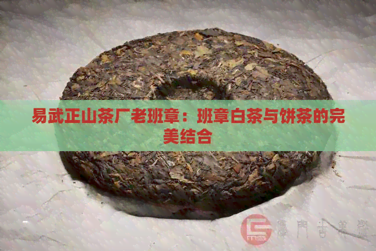 易武正山茶厂老班章：班章白茶与饼茶的完美结合