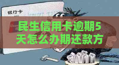 民生信用卡逾期5天怎么办期还款方法有哪些