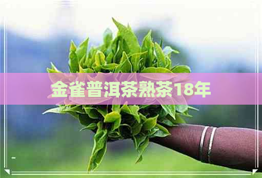 金雀普洱茶熟茶18年