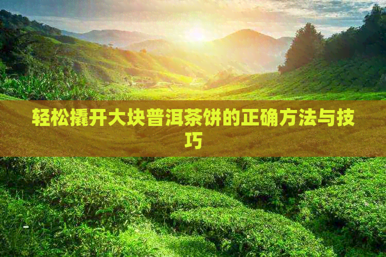 轻松撬开大块普洱茶饼的正确方法与技巧