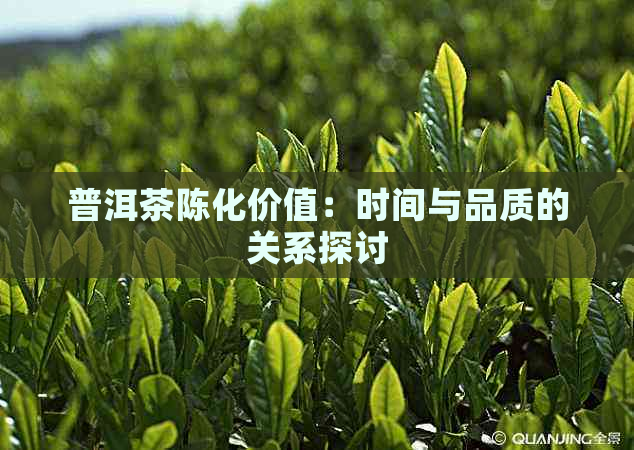 普洱茶陈化价值：时间与品质的关系探讨