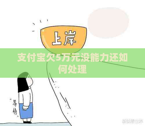 支付宝欠5万元没能力还如何处理