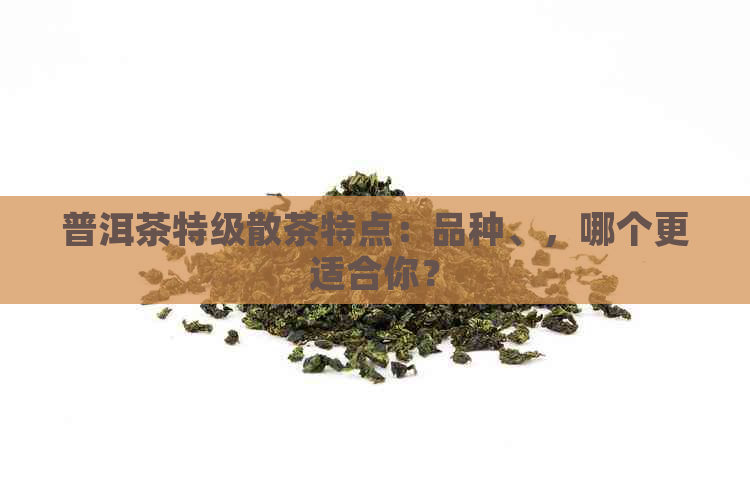 普洱茶特级散茶特点：品种、，哪个更适合你？