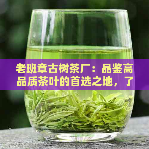 老班章古树茶厂：品鉴高品质茶叶的首选之地，了解古茶制作工艺与历传承