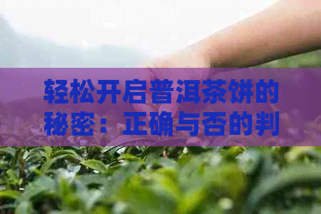 轻松开启普洱茶饼的秘密：正确与否的判断方法