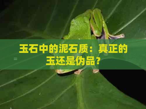 玉石中的泥石质：真正的玉还是伪品？