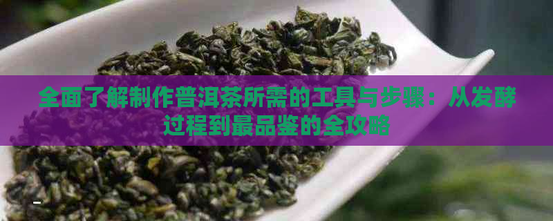 全面了解制作普洱茶所需的工具与步骤：从发酵过程到最品鉴的全攻略