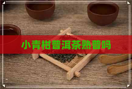 小青柑普洱茶熟普吗