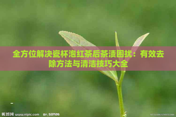 全方位解决瓷杯泡红茶后茶渍困扰：有效去除方法与清洁技巧大全