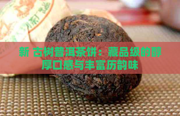 新 古树普洱茶饼：藏品级的醇厚口感与丰富历韵味