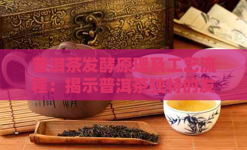 普洱茶发酵原理及工艺流程：揭示普洱茶独特的发酵过程及其制作秘密。