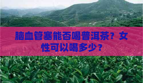 脑血管塞能否喝普洱茶？女性可以喝多少？