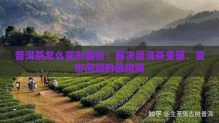 普洱茶怎么变形最快：解决普洱茶变硬、变形问题的极指南