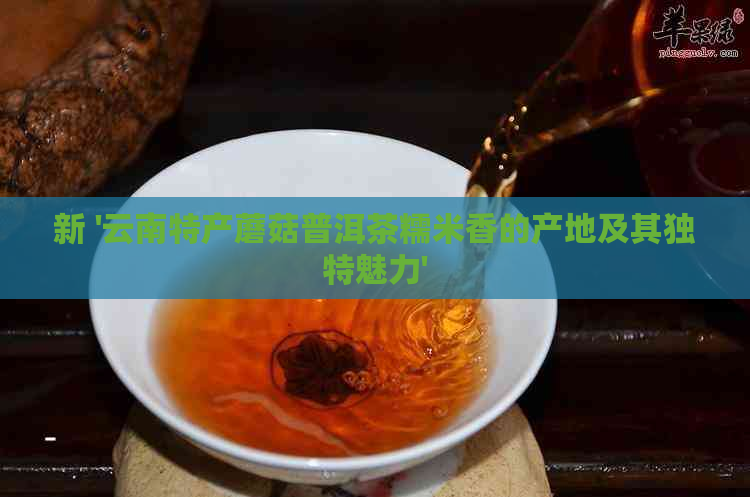 新 '云南特产蘑菇普洱茶糯米香的产地及其独特魅力'