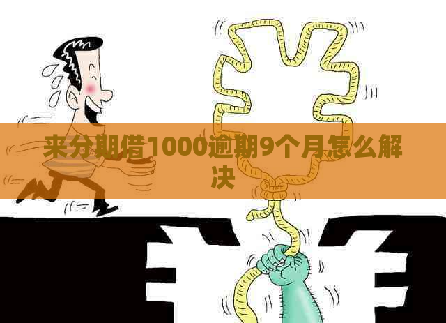 分来期借1000逾期9个月怎么解决