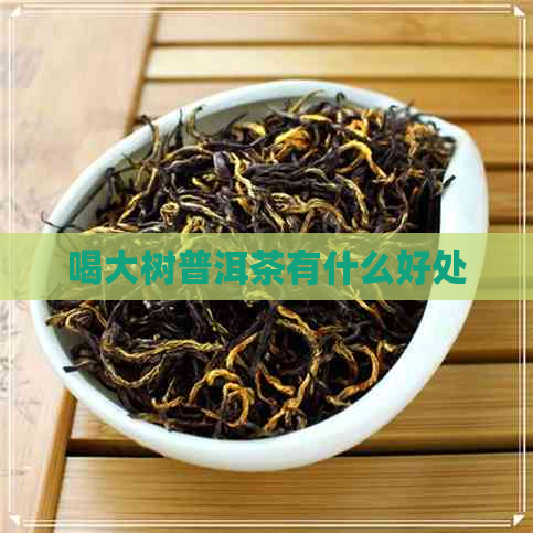 喝大树普洱茶有什么好处