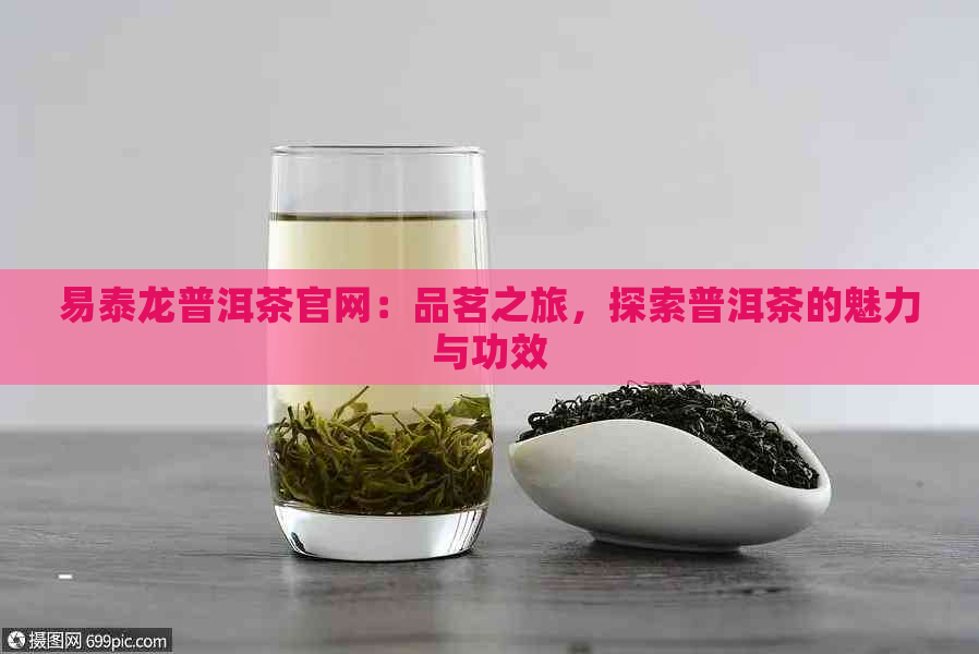 易泰龙普洱茶官网：品茗之旅，探索普洱茶的魅力与功效