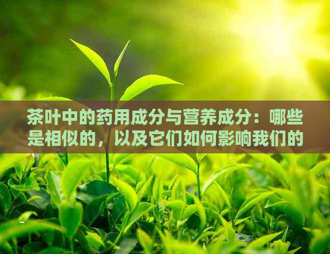 茶叶中的药用成分与营养成分：哪些是相似的，以及它们如何影响我们的健？