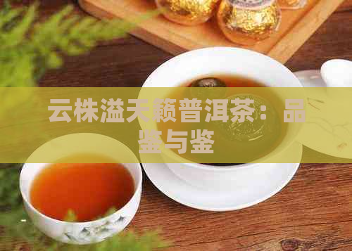 云株溢天籁普洱茶：品鉴与鉴