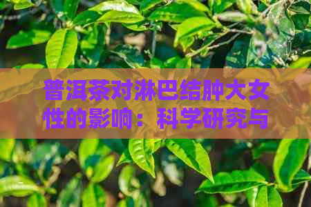 普洱茶对淋巴结肿大女性的影响：科学研究与建议