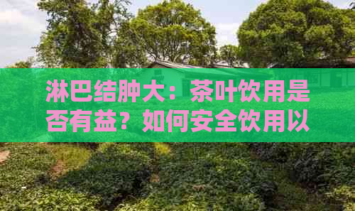 淋巴结肿大：茶叶饮用是否有益？如何安全饮用以促进复？