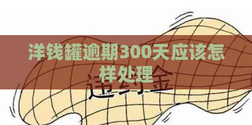 洋钱罐逾期300天应该怎样处理