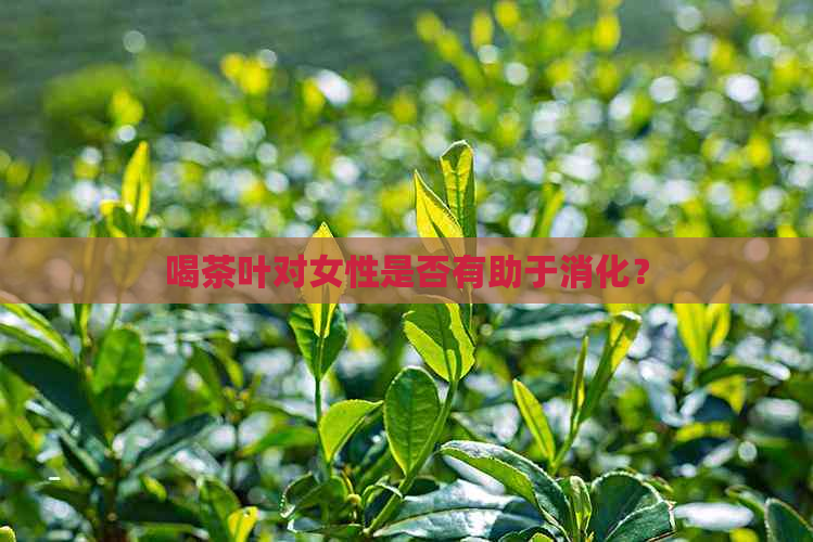 喝茶叶对女性是否有助于消化？