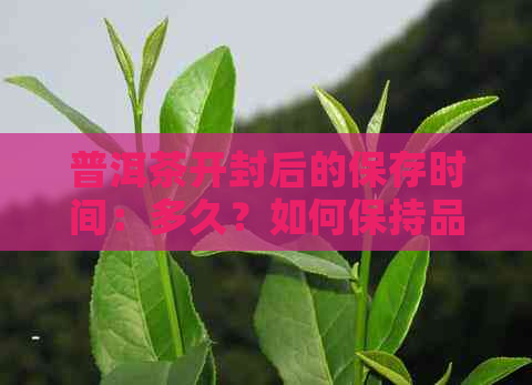 普洱茶开封后的保存时间：多久？如何保持品质？