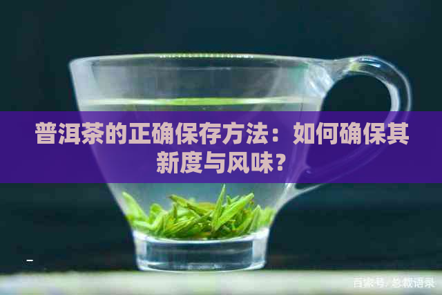 普洱茶的正确保存方法：如何确保其新度与风味？