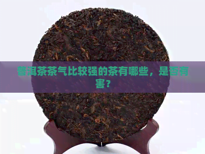 普洱茶茶气比较强的茶有哪些，是否有害？