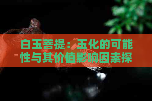 白玉菩提：玉化的可能性与其价值影响因素探讨