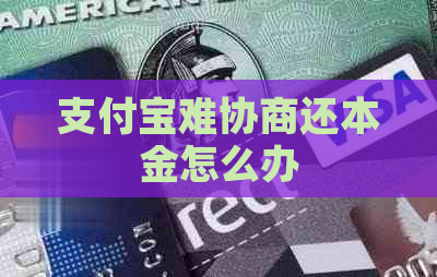 支付宝难协商还本金怎么办