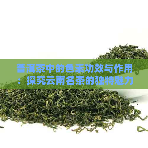 普洱茶中的色素功效与作用：探究云南名茶的独特魅力