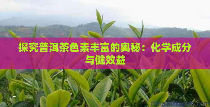 探究普洱茶色素丰富的奥秘：化学成分与健效益