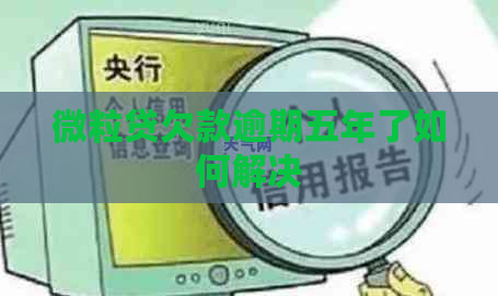 微立贷欠款逾期五年了如何解决