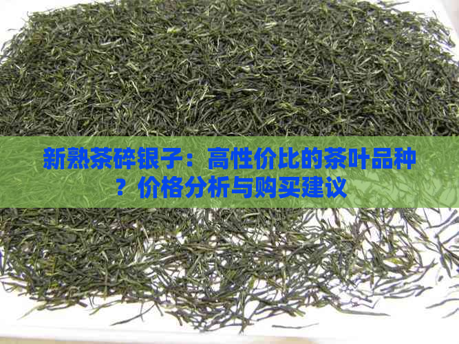 新熟茶碎银子：高性价比的茶叶品种？价格分析与购买建议