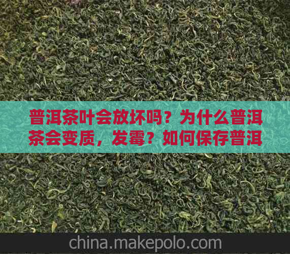 普洱茶叶会放坏吗？为什么普洱茶会变质，发霉？如何保存普洱茶以避免变质？