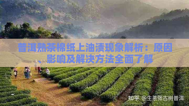 普洱熟茶棉纸上油渍现象解析：原因、影响及解决方法全面了解