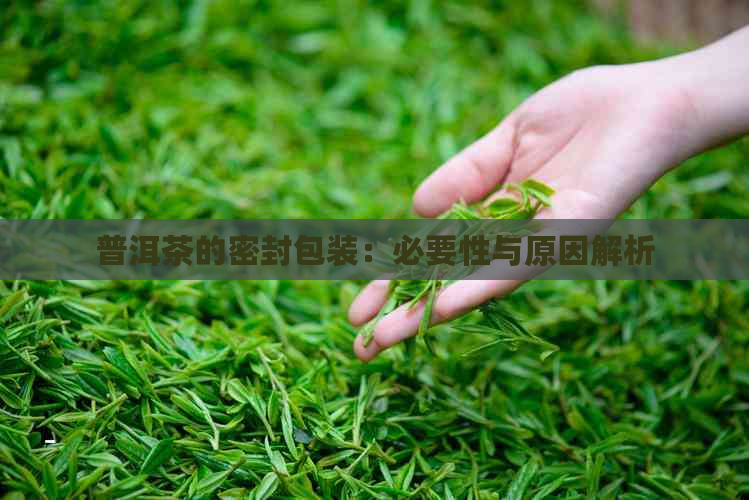 普洱茶的密封包装：必要性与原因解析