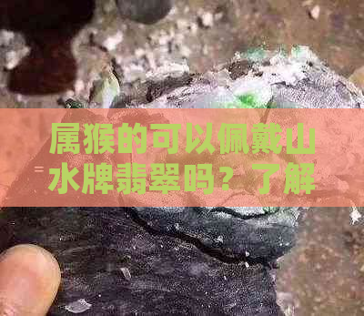 属猴的可以佩戴山水牌翡翠吗？了解风水和生肖如何影响翡翠选择与佩戴