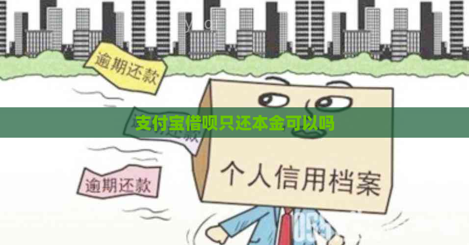 支付宝借呗只还本金可以吗