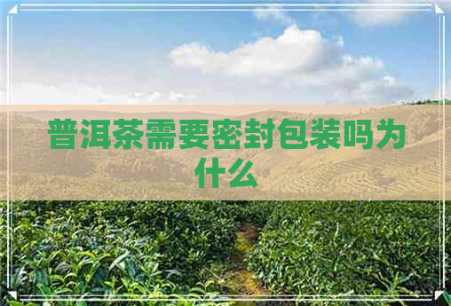 普洱茶需要密封包装吗为什么