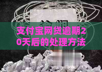 支付宝网贷逾期20天后的处理方法