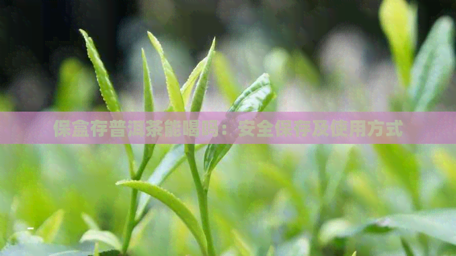 保盒存普洱茶能喝吗：安全保存及使用方式